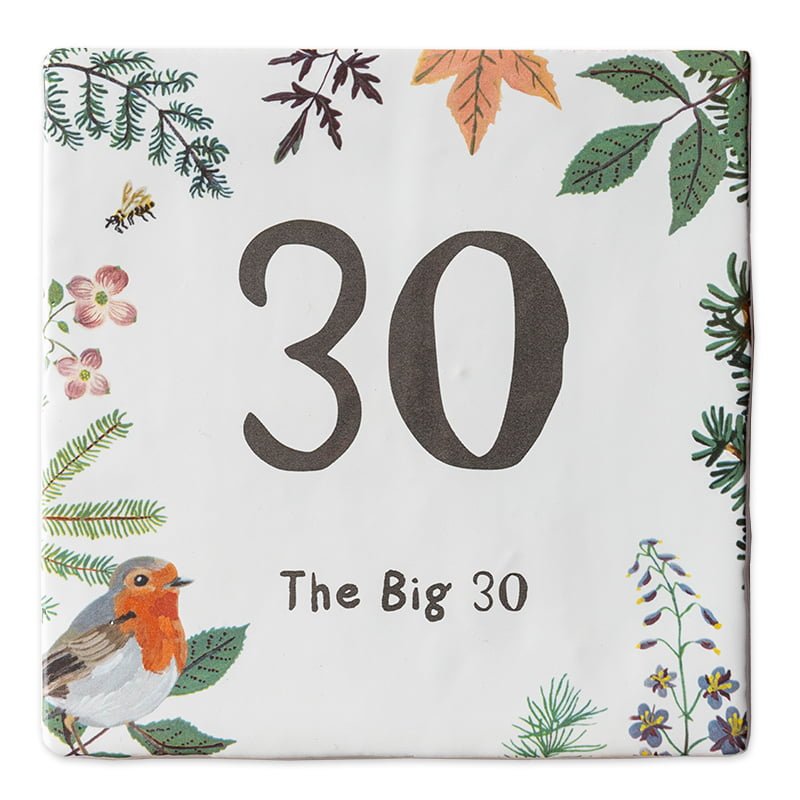 storytiles Het roodborstje feliciteert jou