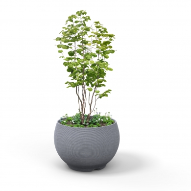 street life Globe Planter 3D Printed