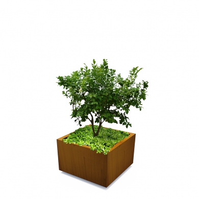 street life Shrubtubs