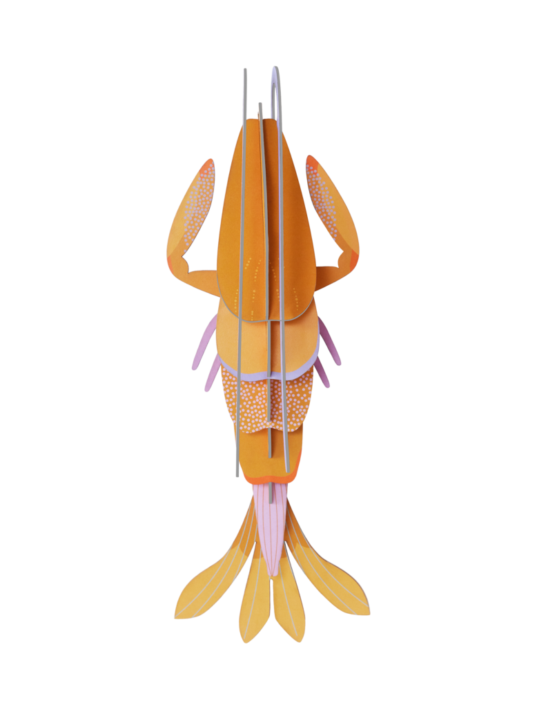 studio roof Amber Langoustine Thema's Amber Langoustine Zeedieren