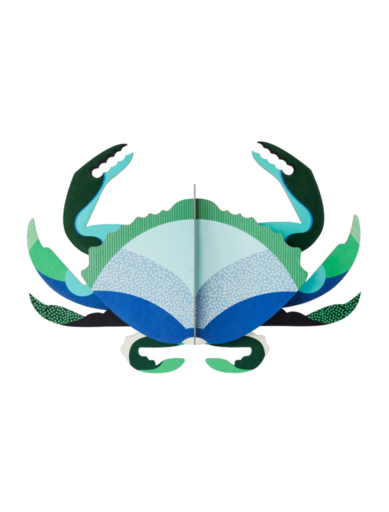 studio roof Aquamarine Crab Thema's Aquamarine Crab Zeedieren