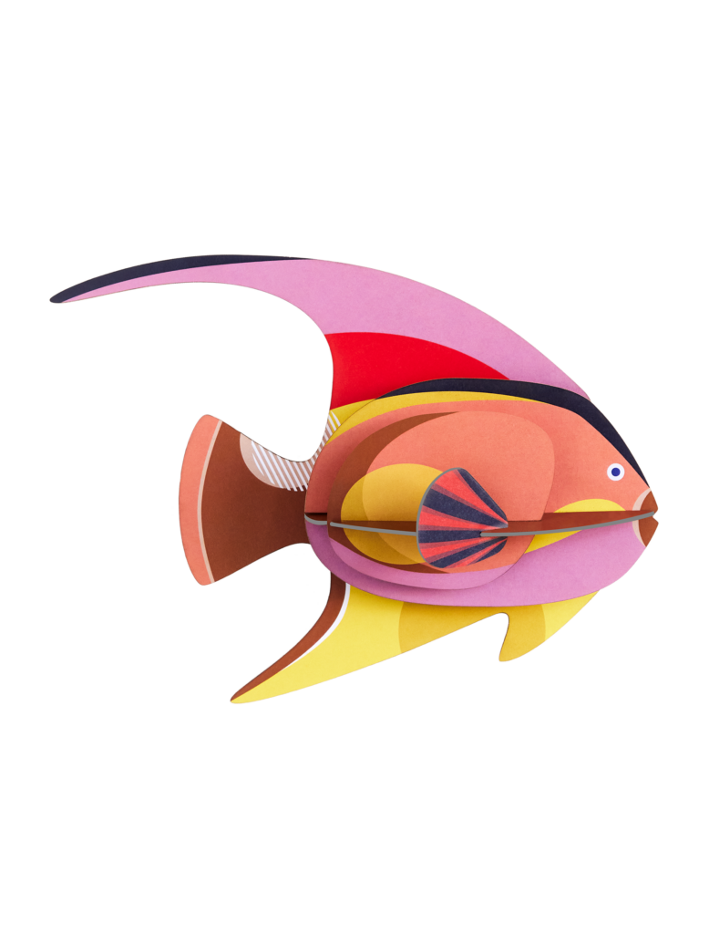 studio roof Blackcap Fish Thema's Blackcap Fish Zeedieren studio roof Blackcap Fish Thema's Blackcap Fish Zeedieren