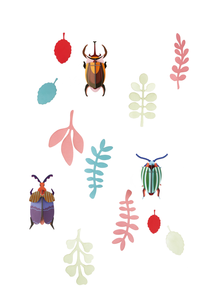 studio roof Bug Rendez-Vous Thema's Bug Rendez-Vous Kevers studio roof Bug Rendez-Vous Thema's Bug Rendez-Vous Kevers