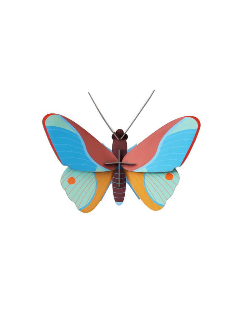 studio roof Claudina Butterfly Thema's Claudina Butterfly Vlinders