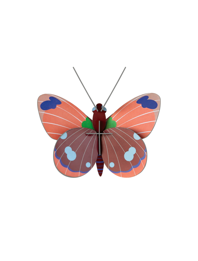 studio roof Delias Butterfly Thema's Delias Butterfly Vlinders