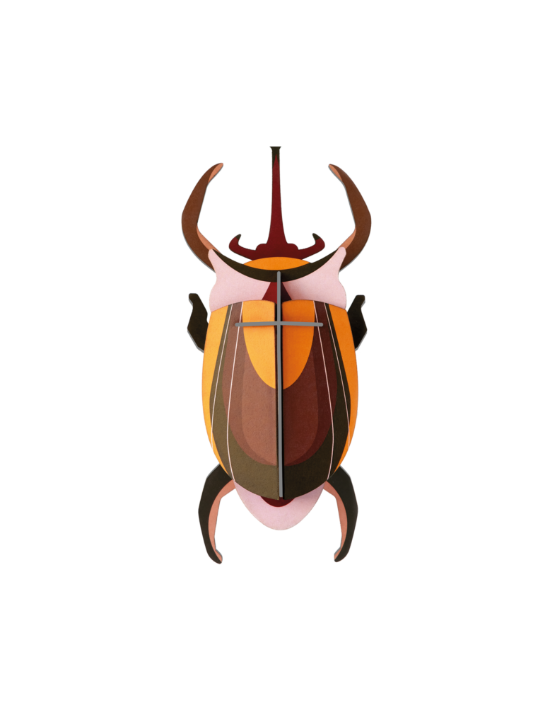 studio roof Elephant Beetle Thema's Elephant Beetle Kevers