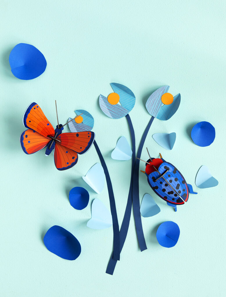 Studio Roof Fungus Beetle Thema's Fungus Beetle Kevers