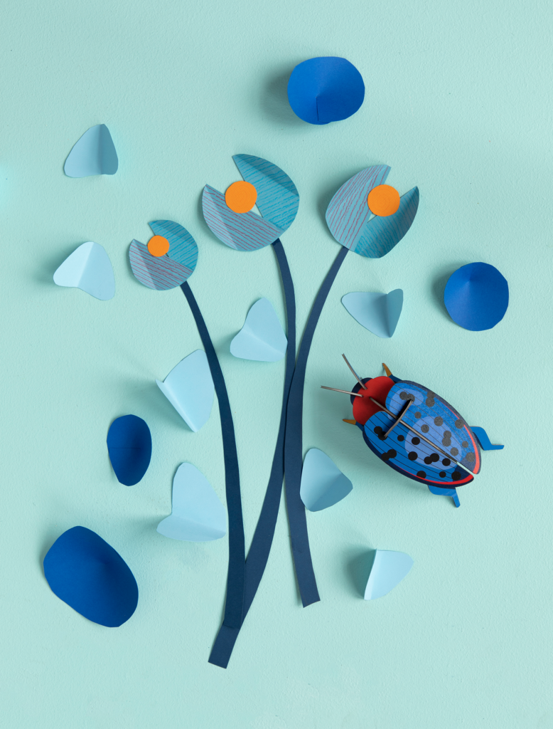 Studio Roof Fungus Beetle Thema's Fungus Beetle Kevers