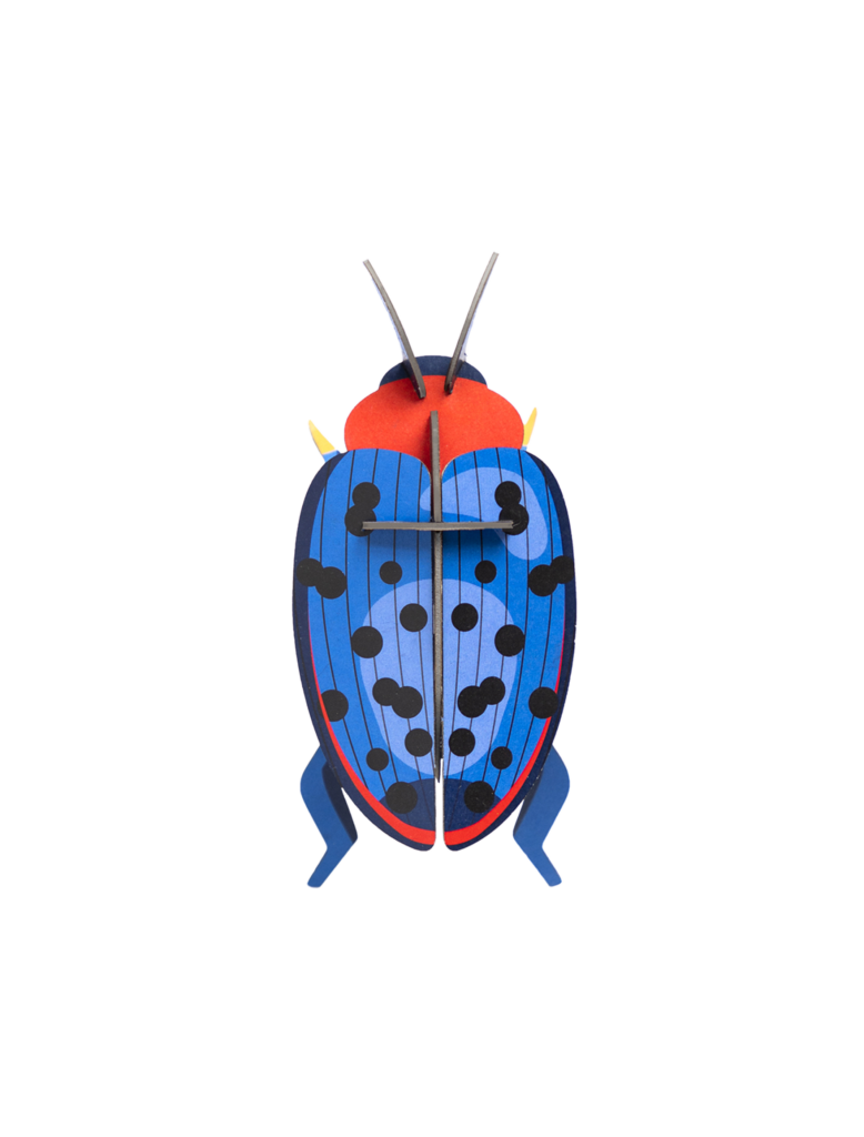 studio roof Fungus Beetle Thema's Fungus Beetle Kevers