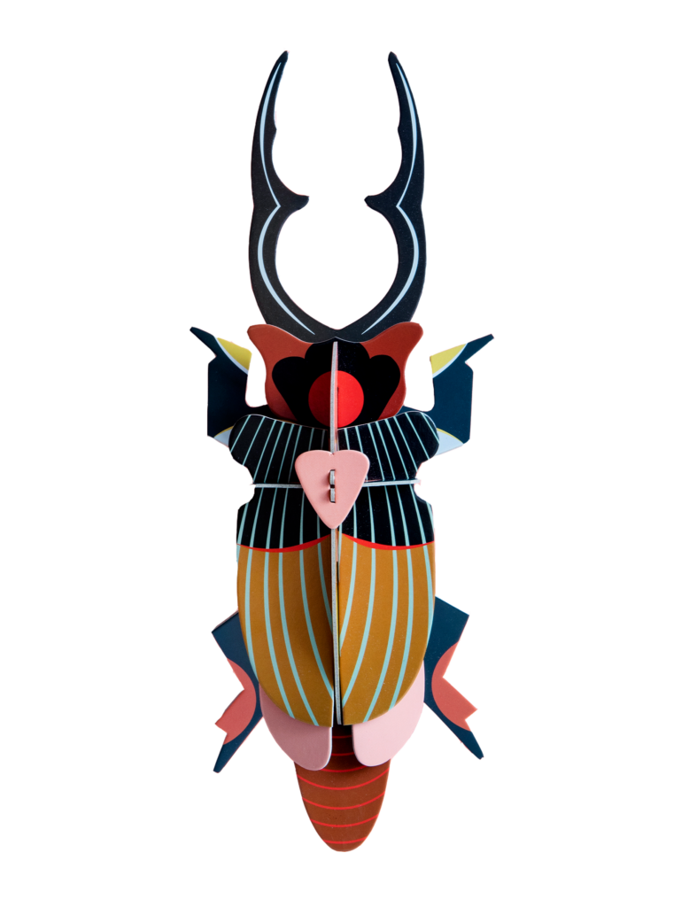 studio roof Giant Stag Beetle Thema's Giant Stag Beetle Kevers