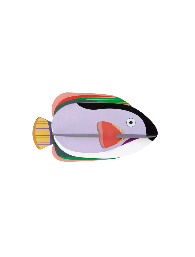 studio roof King Angelfish Thema's King Angelfish Zeedieren