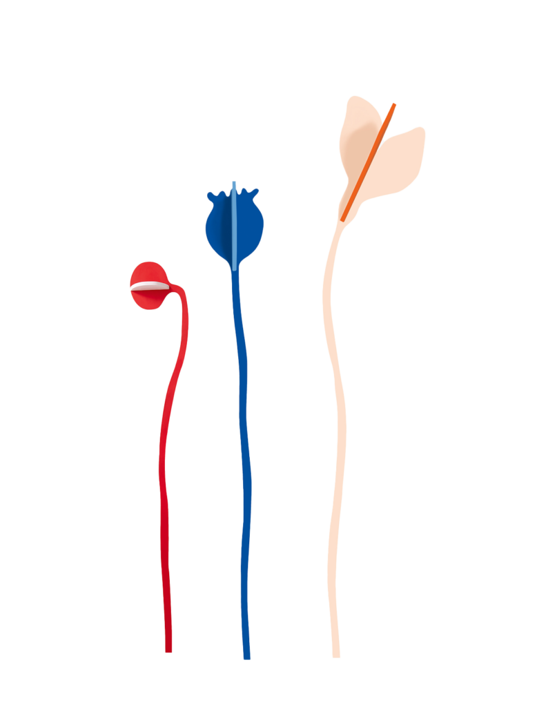 studio roof Les Monets 3 flowers Atelier Toit Les Monets 3 flowers Wall Art