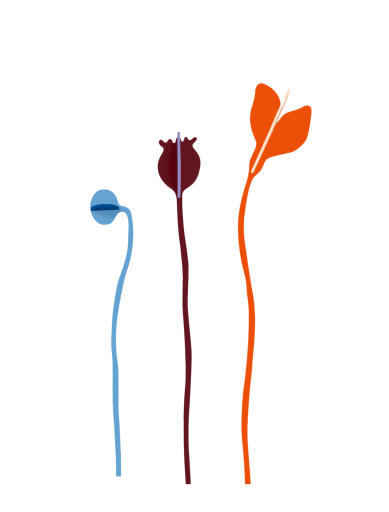 studio roof Les Monets 3 flowers Atelier Toit Les Monets 3 flowers Wall Art