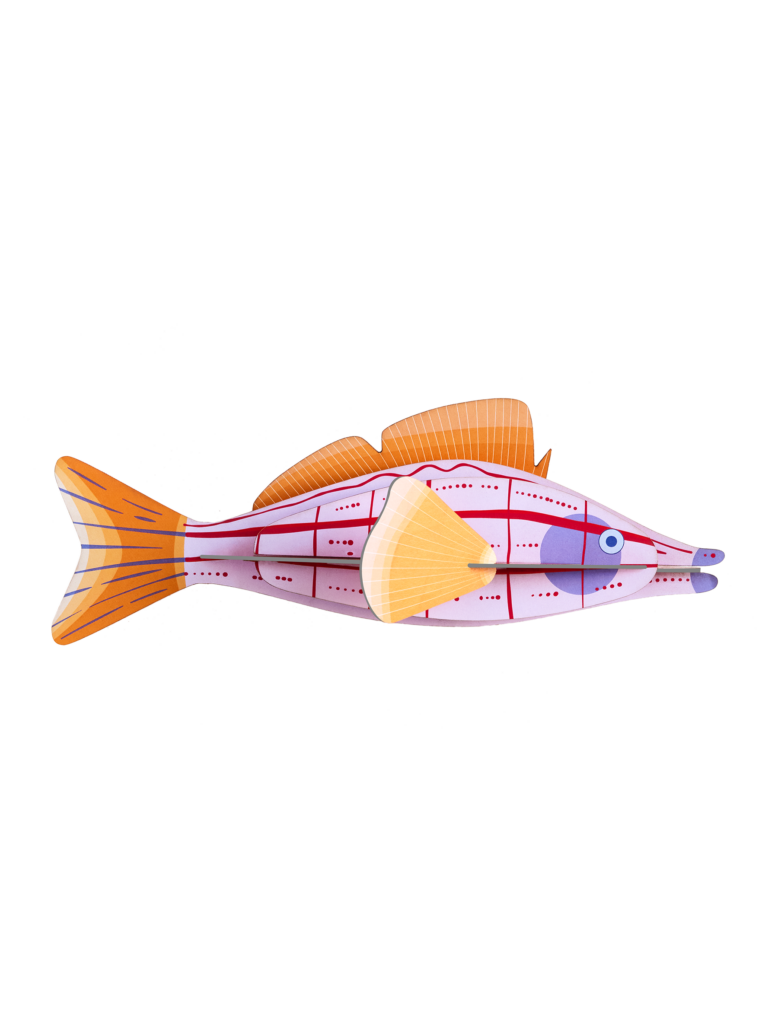 studio roof Longnose Hawkfish Thema's Longnose Hawkfish Zeedieren studio roof Longnose Hawkfish Thema's Longnose Hawkfish Zeedieren