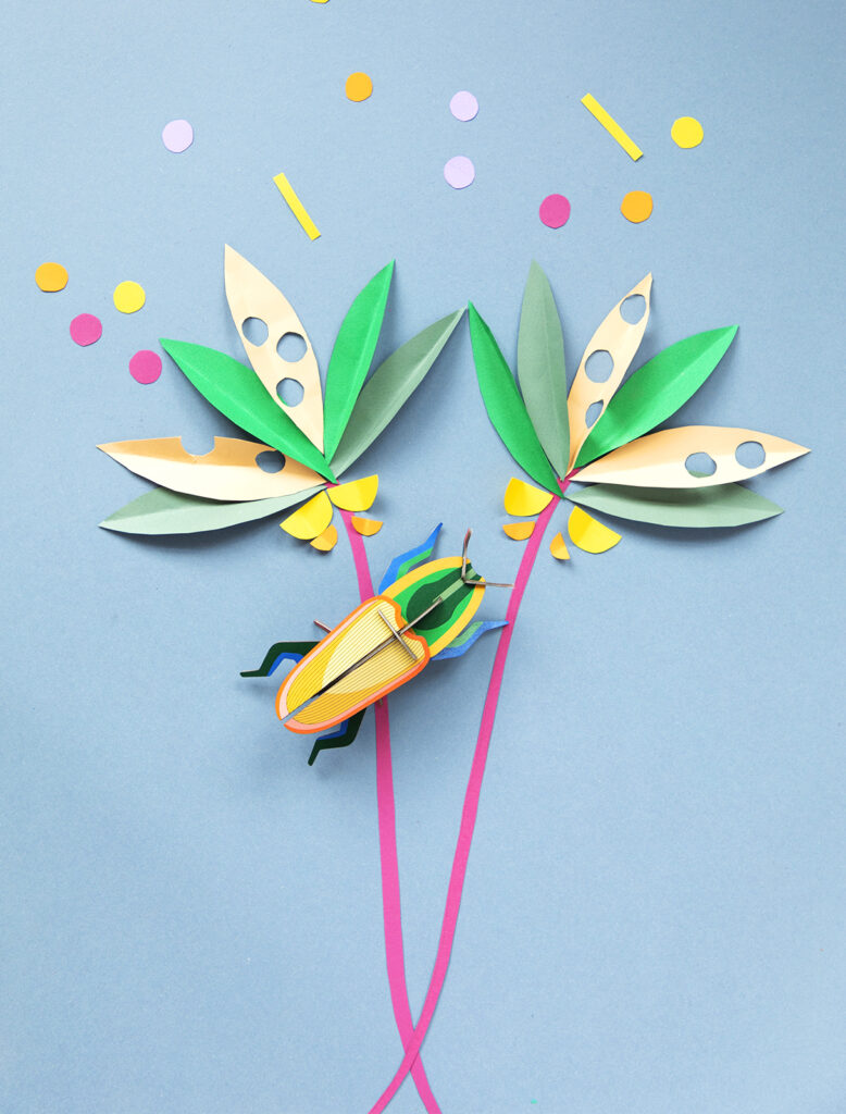 Studio Roof Madagascar Beetle Thema's Madagascar Beetle Kevers