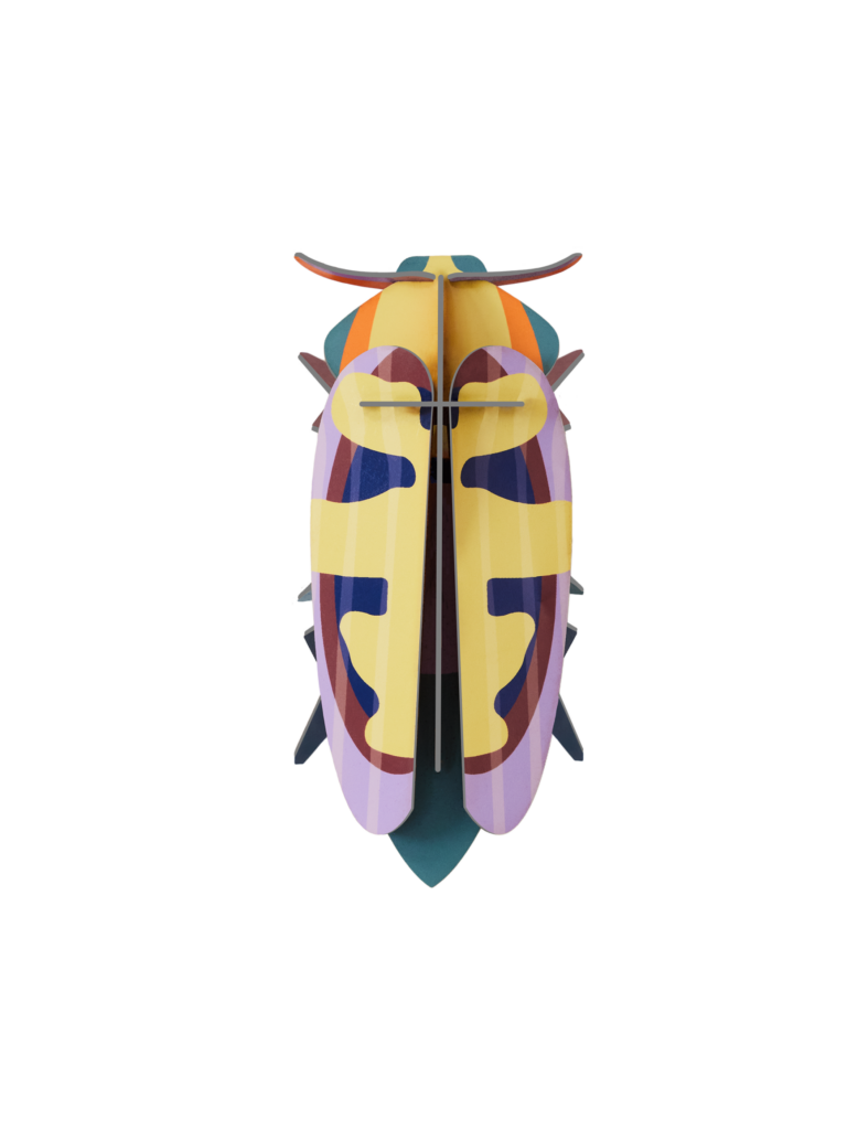 studio roof Mango Flower Beetle Thema's Mango Flower Beetle Kevers