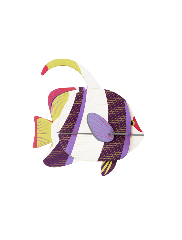 studio roof Marine Angelfish Thema's Marine Angelfish Zeedieren