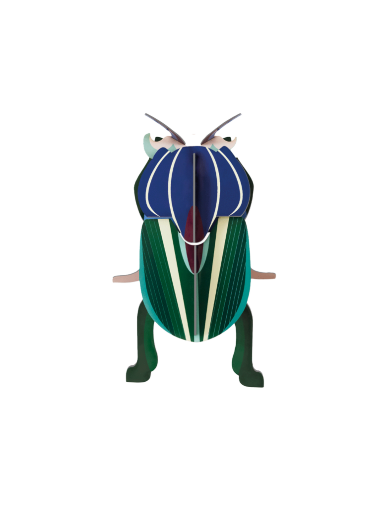 studio roof Mimela Scarab Beetle Thema's Mimela Scarab Beetle Kevers