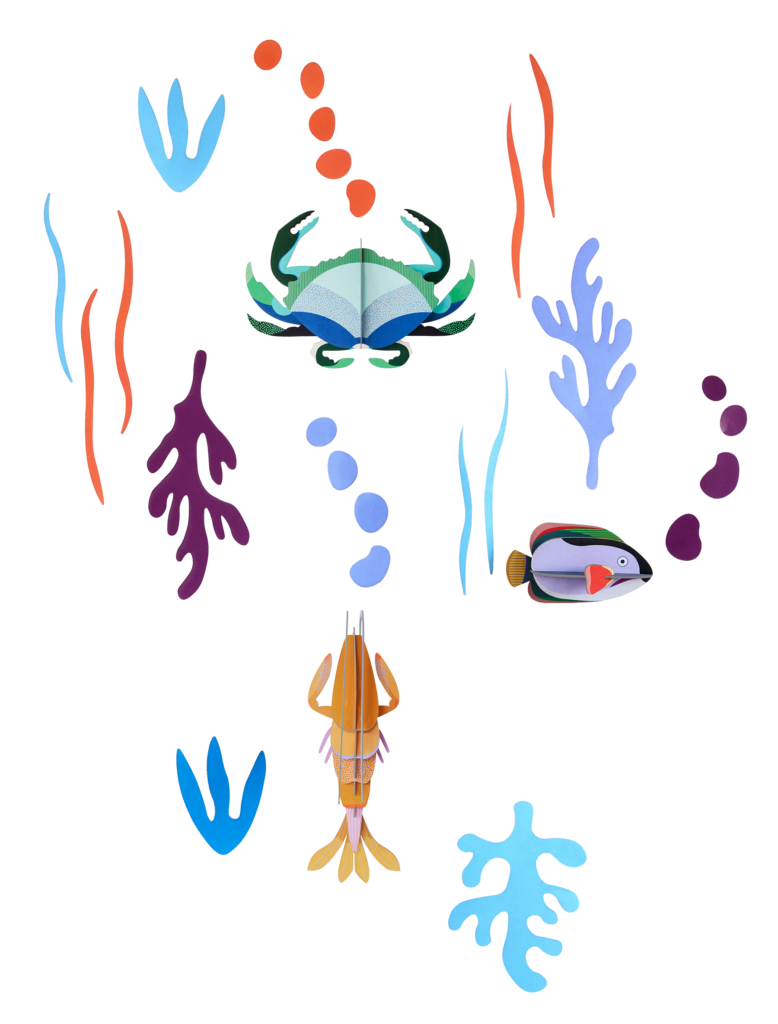 studio roof Ocean’s Tale Thema's Ocean’s Tale Zeedieren