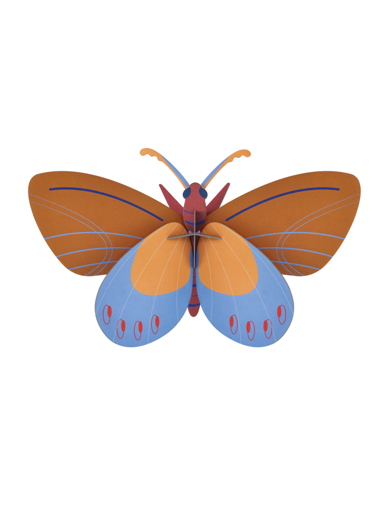 studio roof Ochre Costa Butterfly Thema's Ochre Costa Butterfly Vlinders