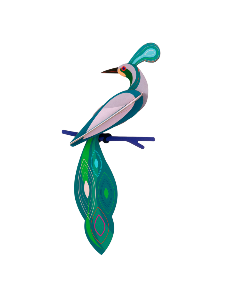 studio roof Paradise Bird Fiji Thema's Paradise Bird Fiji Vogels