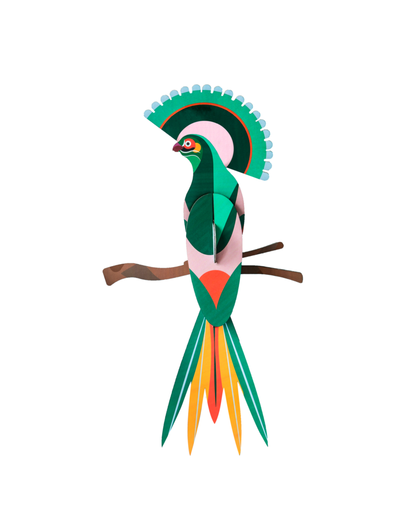 studio roof Paradise Bird Gili Thema's Paradise Bird Gili Vogels