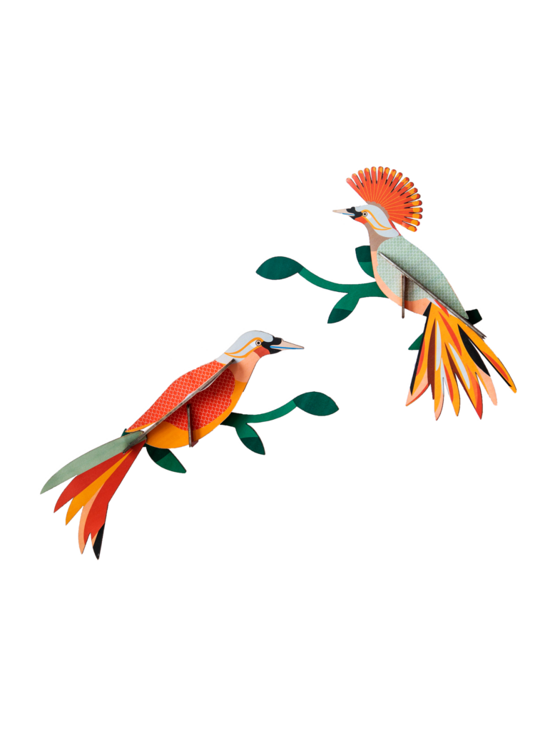 studio roof Paradise Bird Obi Thema's Paradise Bird Obi Vogels