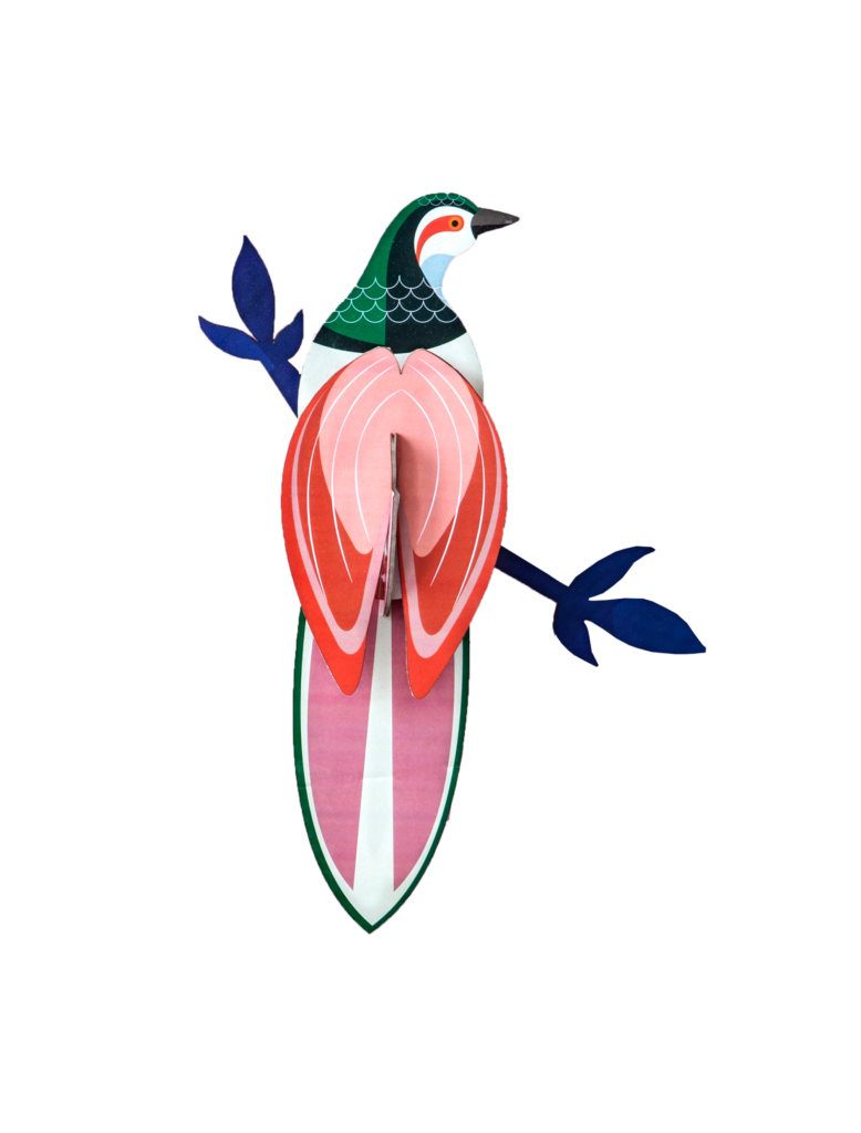 studio roof Paradise Bird Rani Thema's Paradise Bird Rani Vogels