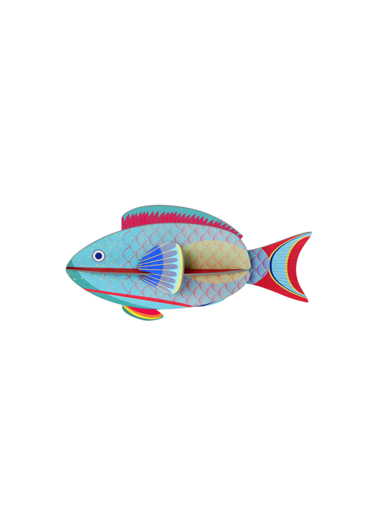 studio roof Parrotfish Thema's Parrotfish Zeedieren