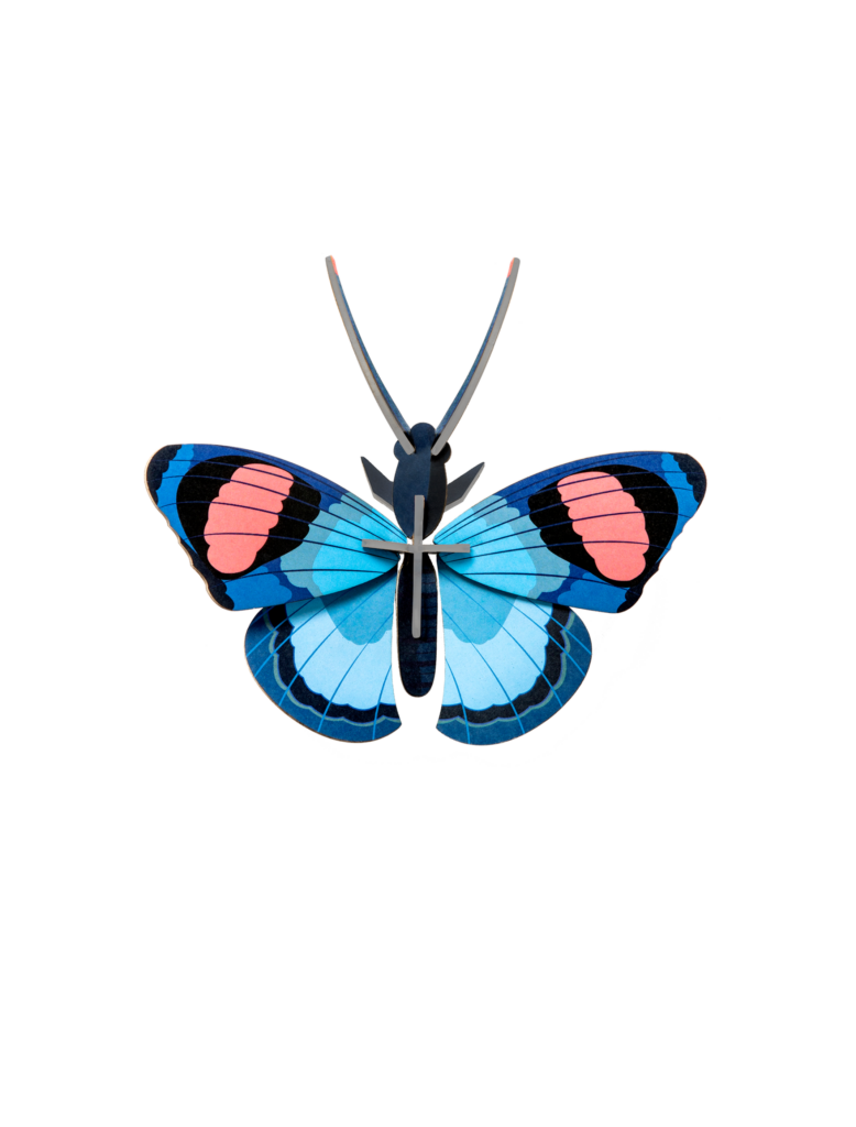 studio roof Peacock Butterfly Thema's Peacock Butterfly Vlinders