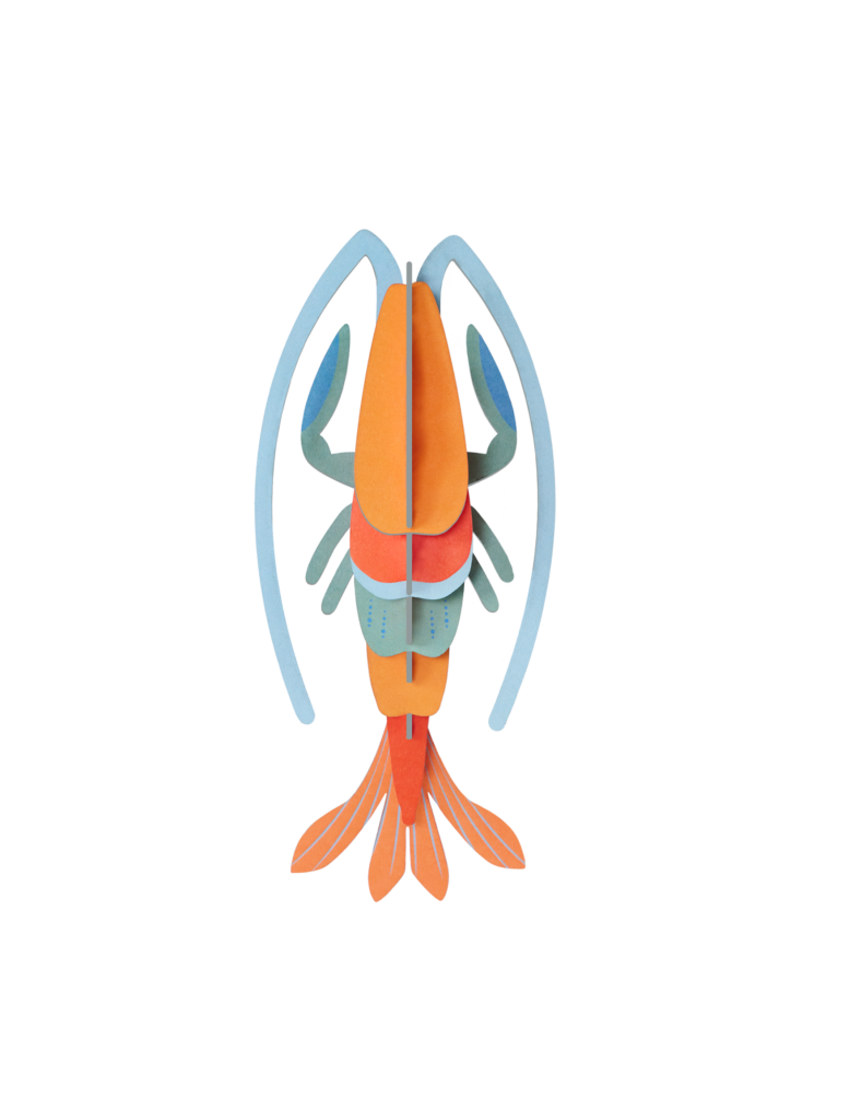 studio roof Pomelo Shrimp Thema's Pomelo Shrimp Zeedieren