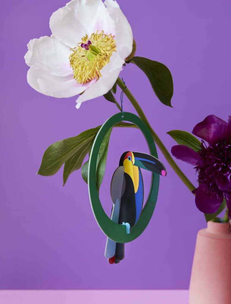 Studio Roof Pop Out Card Toucan Thema's Pop Out Card Toucan Vogels