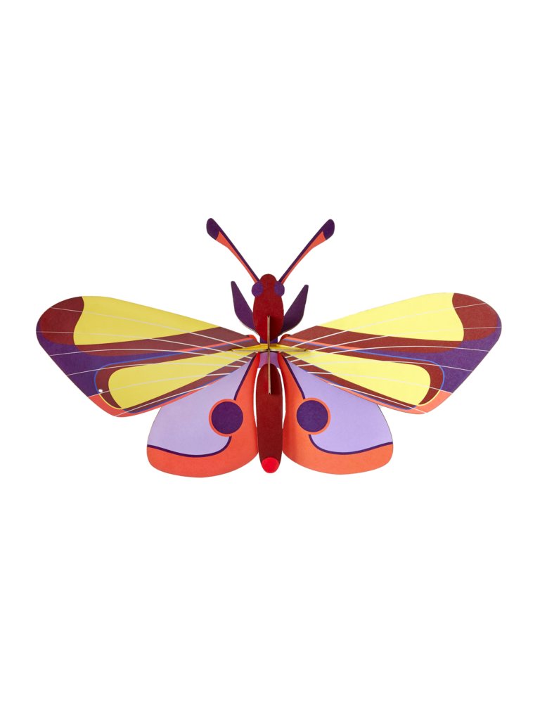 studio roof Purple Eyed Butterfly Thema's Purple Eyed Butterfly Vlinders