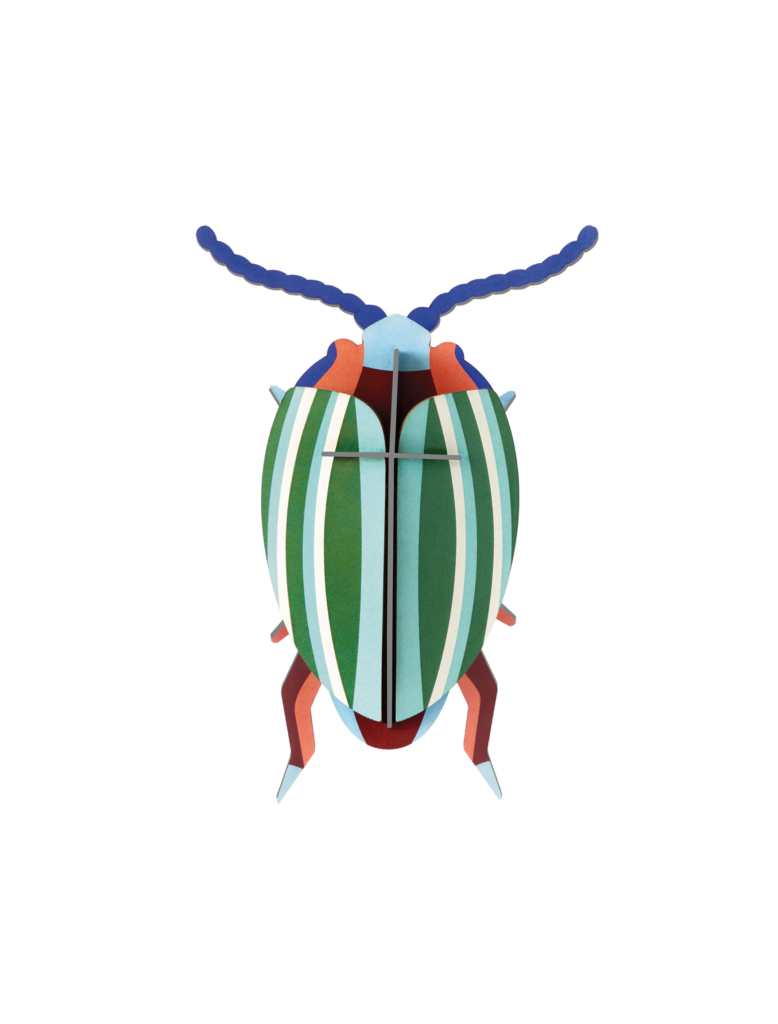 studio roof Rainbow Leaf Beetle Thema's Rainbow Leaf Beetle Kevers