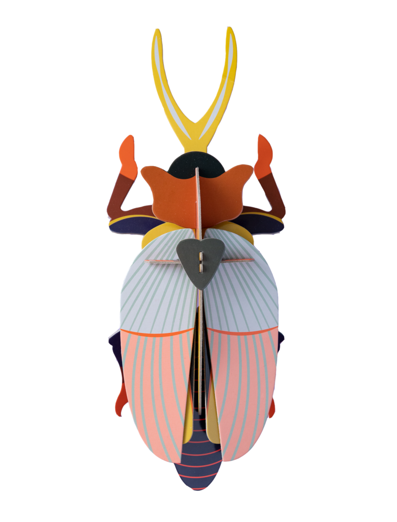 studio roof Rhinoceros beetle Thema's Rhinoceros beetle Kevers