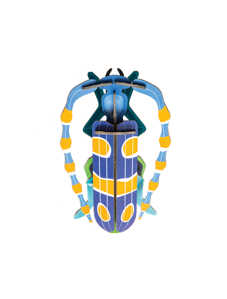 studio roof Rosalia Beetle Thema's Rosalia Beetle Kevers