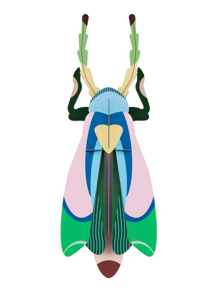 studio roof Sakura Beetle Thema's Sakura Beetle Kevers