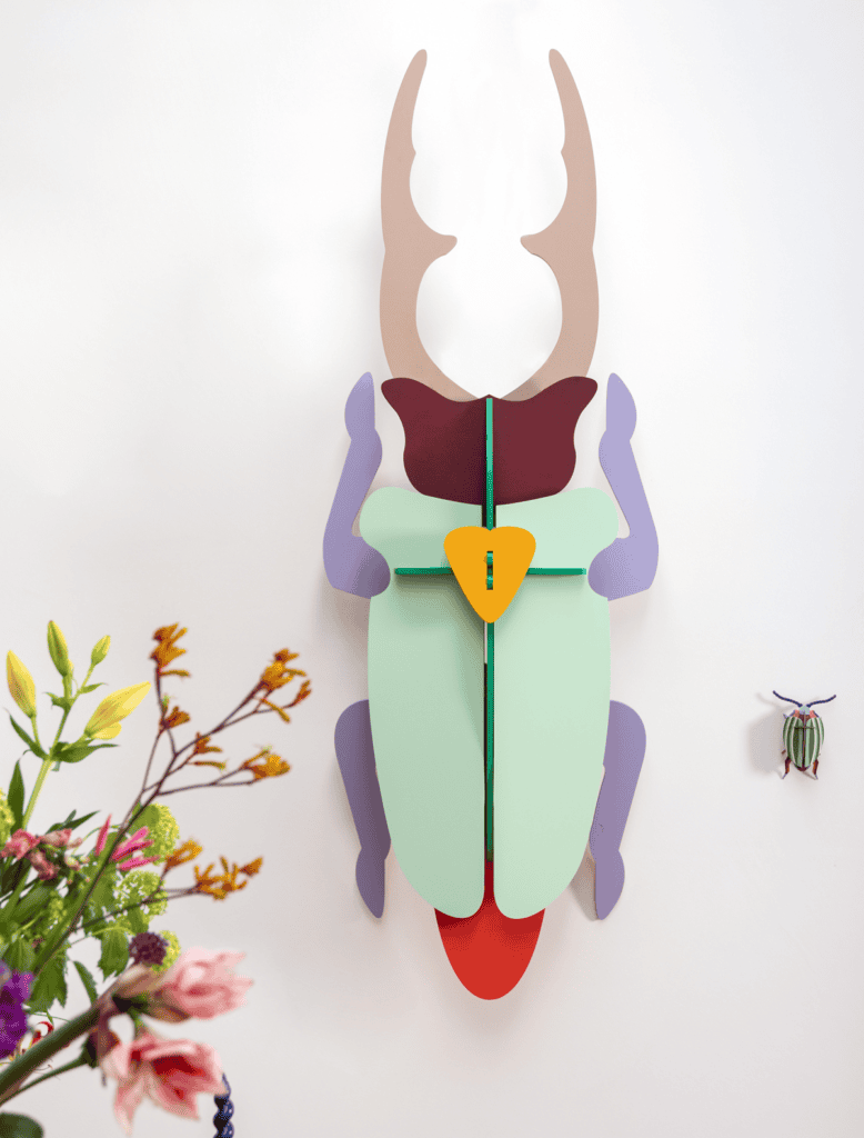 Studio Roof Scarab Beetle Atelier Toit Scarab Beetle Larger Than Life