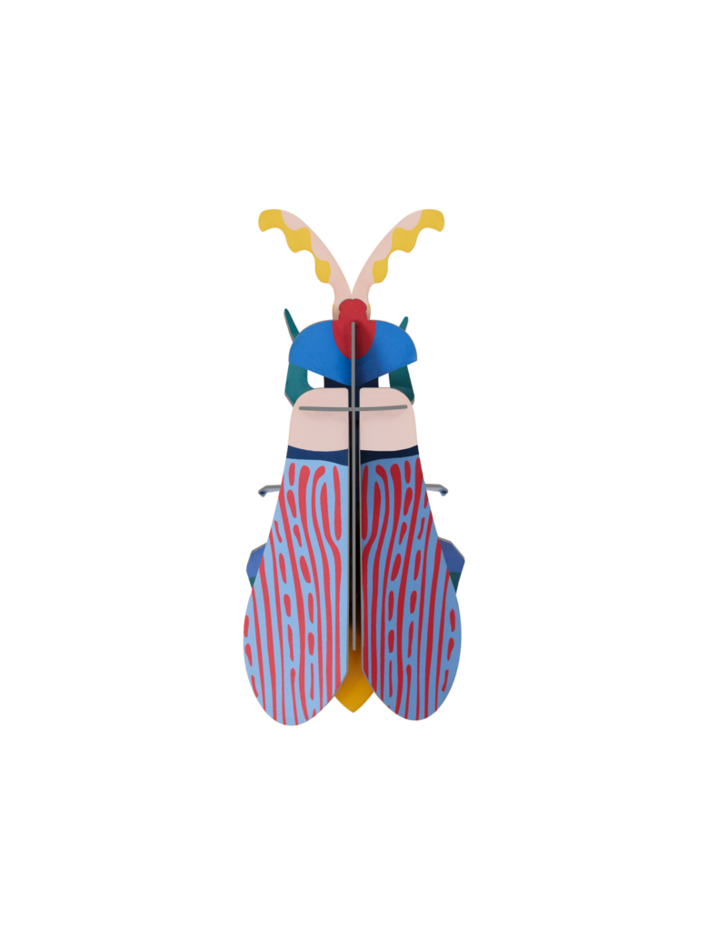 studio roof Striped Wing Beetle Thema's Striped Wing Beetle Kevers