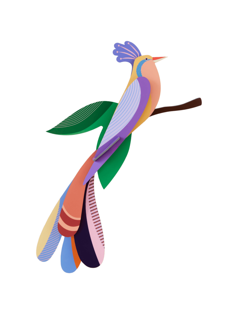 studio roof Bisa Thema's Bisa Vogels