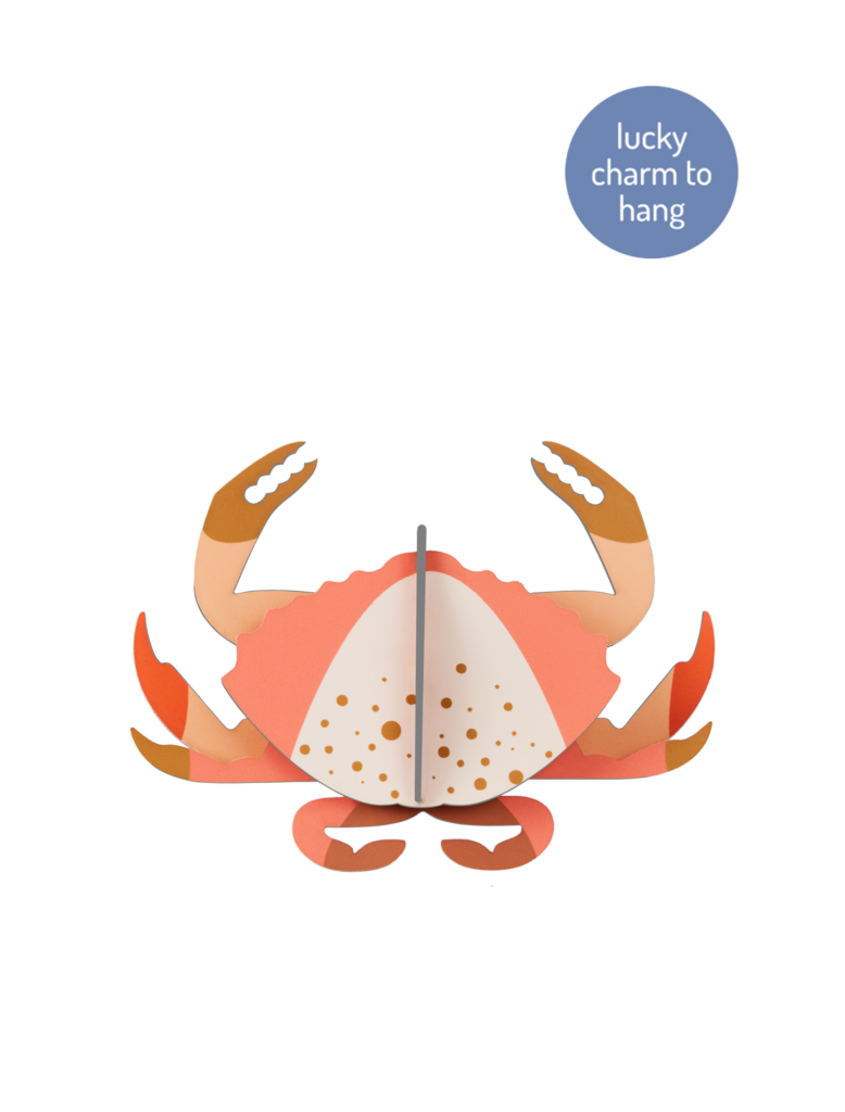 studio roof Crab Thema's Crab Zeedieren studio roof Crab Thema's Crab Zeedieren