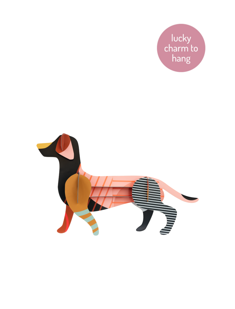 studio roof Dachshund Thema's Dachshund Huisdieren