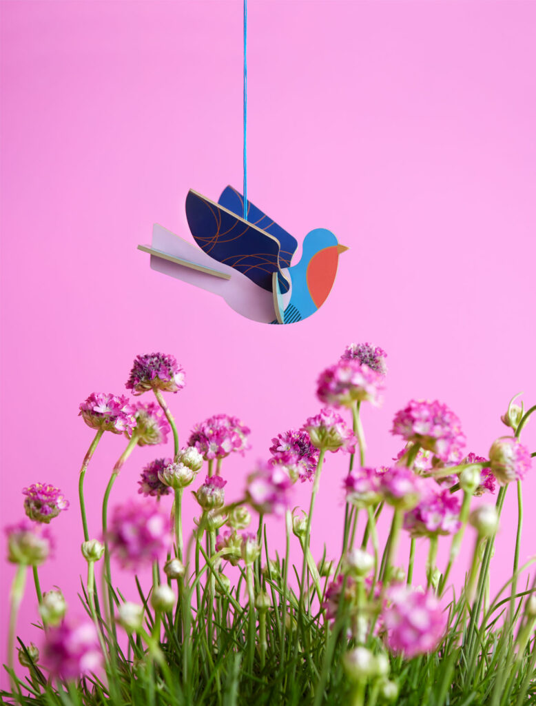 Studio Roof Dove Thema's Dove Vogels