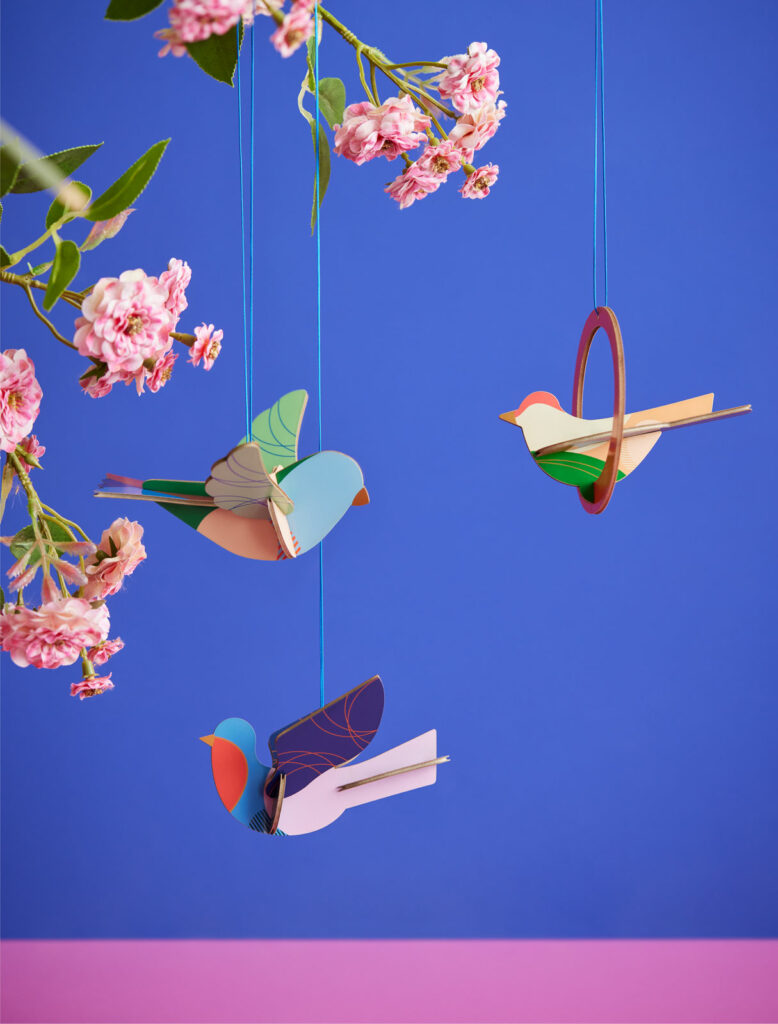 Studio Roof Dove Thema's Dove Vogels