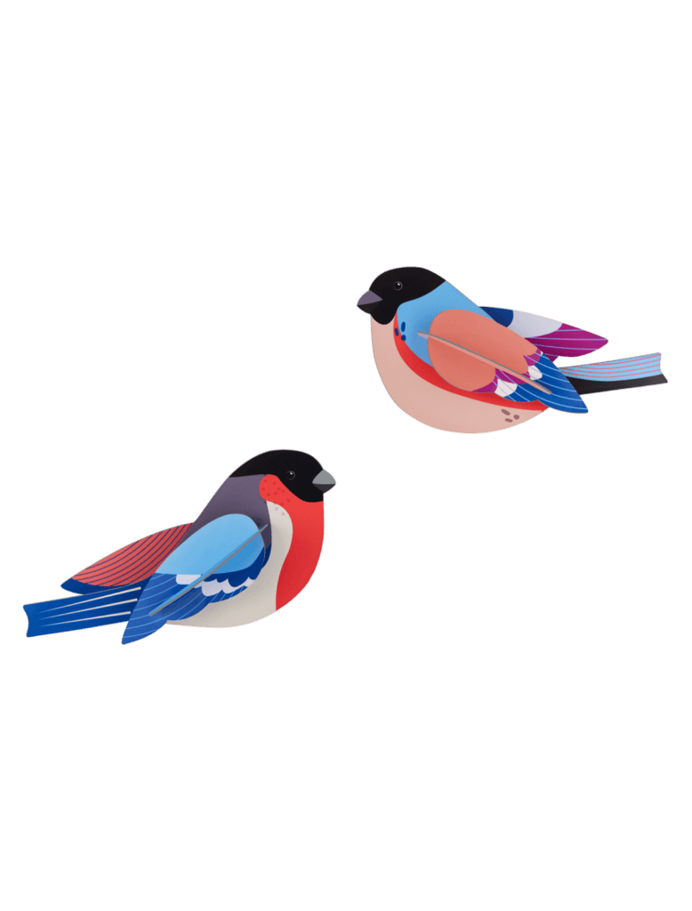 studio roof Finches Thema's Finches Vogels