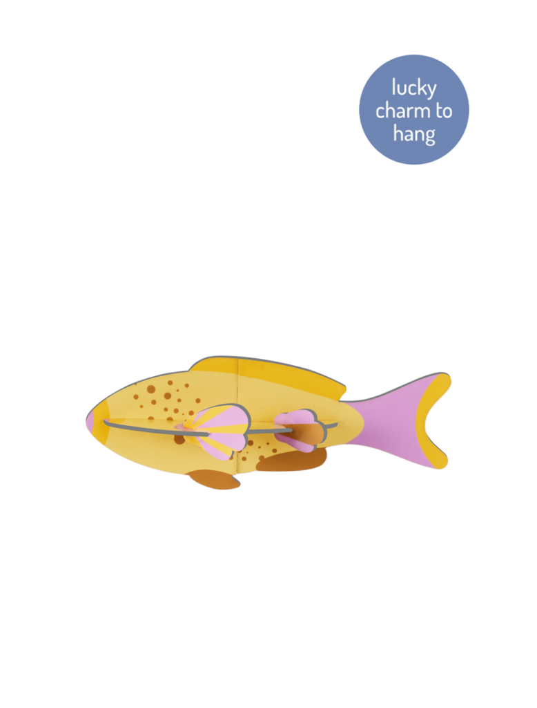 studio roof Fish Thema's Fish Zeedieren studio roof Fish Thema's Fish Zeedieren