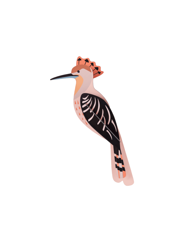 studio roof Hoopoe Thema's Hoopoe Vogels