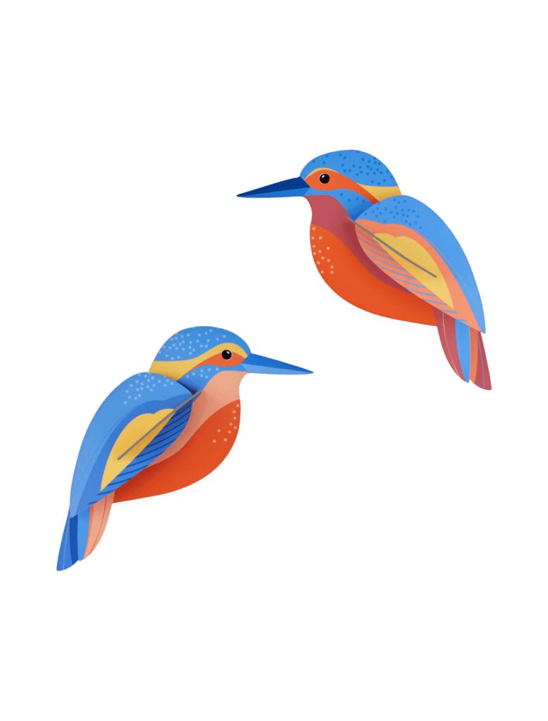studio roof Kingfishers Thema's Kingfishers Vogels