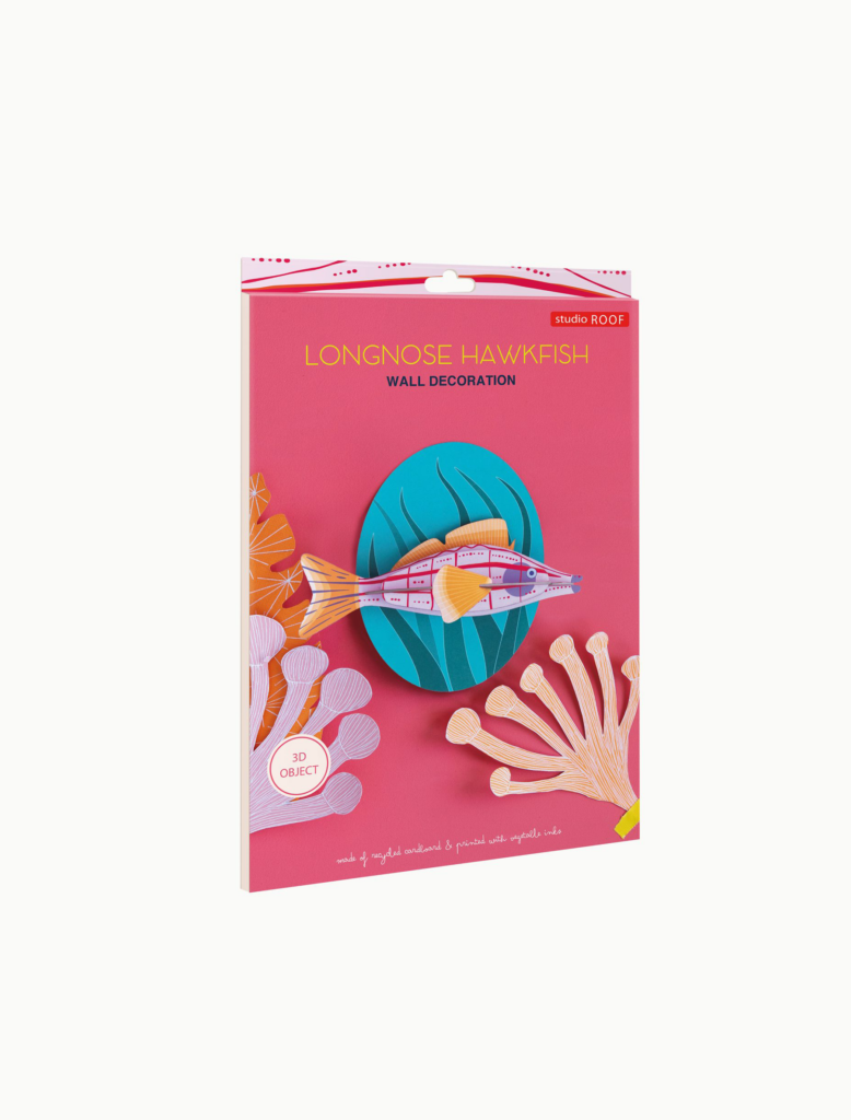 Studio Roof Longnose Hawkfish Sale