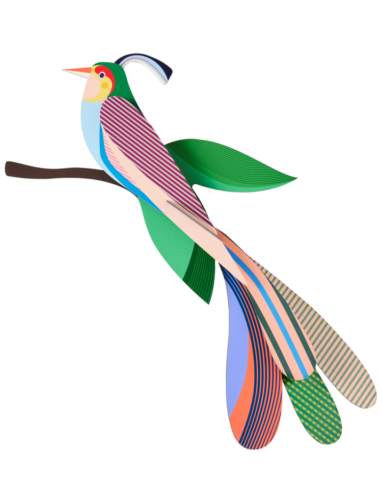 studio roof Maya Thema's Maya Vogels